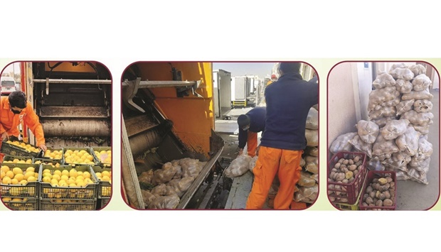 Al Rayyan Municipality removed 2,128kg of imported lemons and 88 bags (15kg each) of potatoes weighing a total of 1,320kg from Al Sailiya Central Market, as they were found unfit for human consumption.