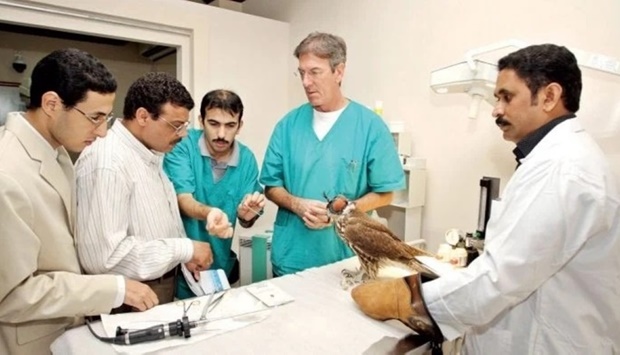 Dr Iqdam Majid al-Karkhi, director of Souq Waqif Falcon Hospital, at work with the clinic staff.