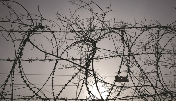 A dead tree and a military fence are intertwined near the demilitarised zone which separates the two Koreas in Paju, South Korea.