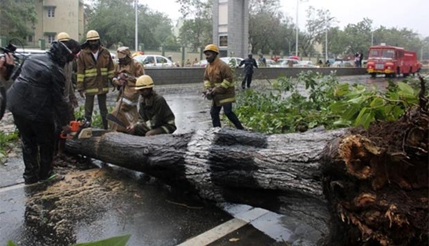 Rescue members cut a tree that fell on a road after it was uprooted by strong winds in Chennai on Monday.
