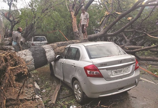 A man stands on a tree uprooted by strong winds caused by Cyclone Vardah in Chennai, yesterday.