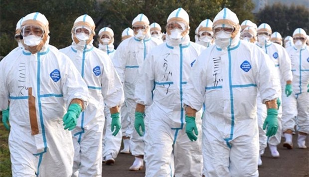 Quarantine officials in protective gears head to a poultry farm in Kawaminami, Miyazaki prefecture, southwestern Japan to bury chickens culled after a highly virulent strain of bird flu was detected. Kyodo photo