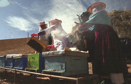 Afghan Hazara women beekeepers check beehives as they work at a bee farm in the Yakawlang District of Bamiyan Province.