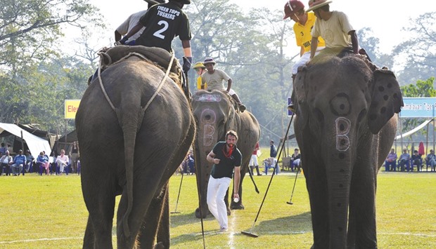 Elephant polo players from Tiger Tops Vikings (in yellow) and Tiger Tops Tuskers (in green) vie for the ball during the final of the 35th International Elephant Polo Competition at Kawasuti Gondhat, some 235km from Kathmandu, yesterday.