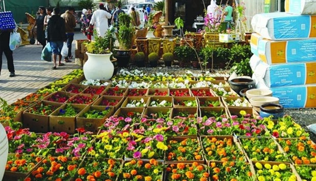A wide variety of locally produced flowers are displayed at the festival.