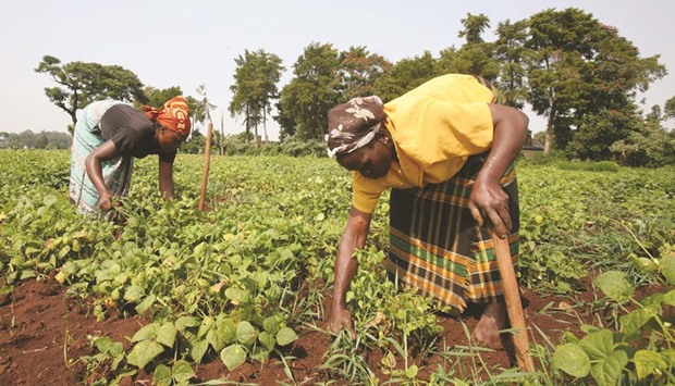 With so many new innovations becoming available, Africau2019s family farmers need their governments to invest in their future.