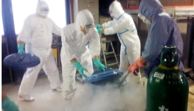 Officials, wearing avian flu anti-virus suits, using carbonated gas to kill chickens in Nankan town in Kumamoto prefecture, Japan