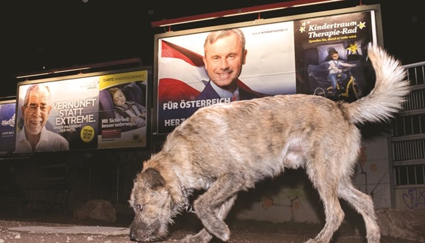 A dog walks around a park where the election posters of Austrian presidential election candidates Norbert Hofer (right), and Alexander Van der Bellen are seen in Vienna.