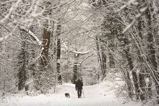 A man walks his dog through a snow covered wood near Mold, north Wales, yesterday. The heaviest snowfall to hit Britain in four years caused widespread chaos with roads becoming hazardous and flights grounded following runway closures.