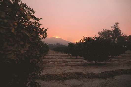 Wildfire burns on a hillside near Montecito, California. Crews battling wildfires ravaging southern California for a week have managed to slow the spread of the worst of the blazes, officials said yesterday. The fire called u201cThomasu201d has charred nearly 234,000 acres of land and is only 20% contained, according to the state agency Calfire. But in the past 24 hours that figure has risen by only a thousand hectares. Evacuation orders were issued for threatened areas in Montecito, Summerland and Santa Barbara.