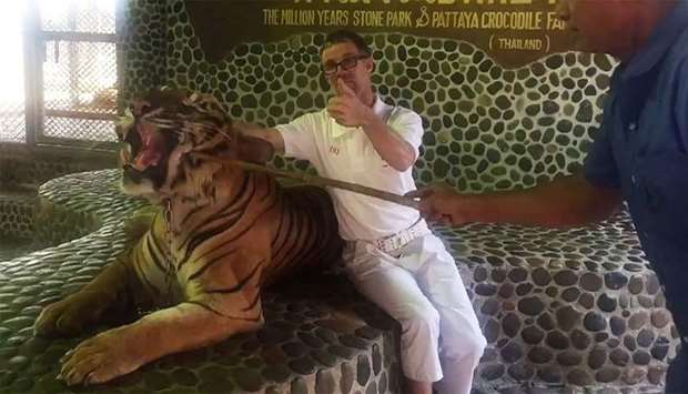 A tourist (C) poses with a roaring tiger being prodded by a Pattaya zoo staff.