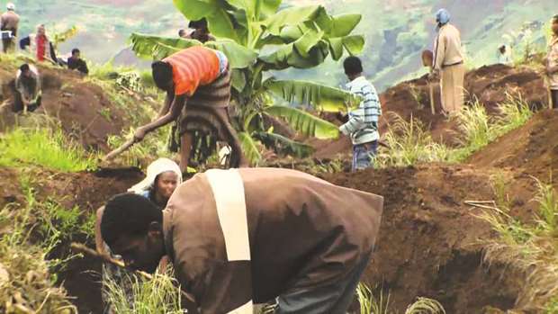 The Ethiopian government has made agricultural development a top priority.