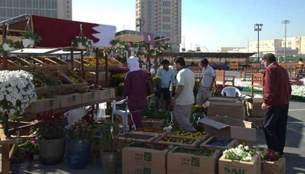 Ornamental plants attracting many shoppers
