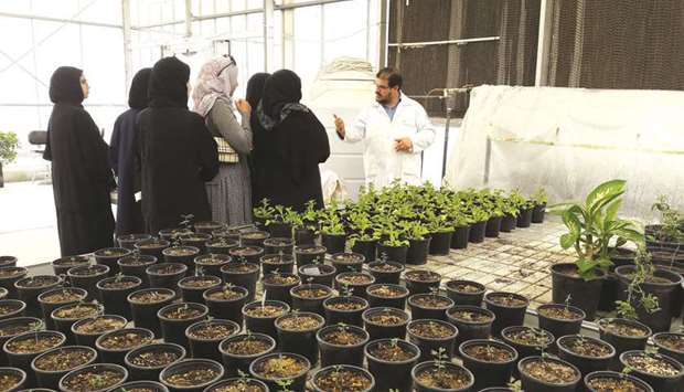 Twenty high schools to participate in a variety of environmental research projects in the contest.