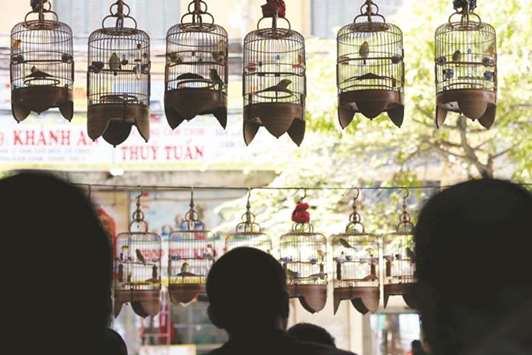 White-eye bird owners listen to bird song at a cafe in Hanoi, Vietnam.