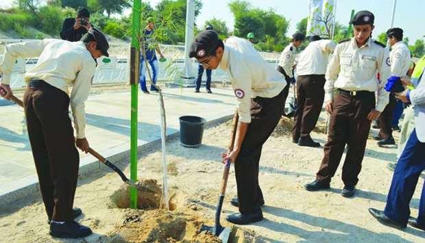 Students plant trees during the event at Education City.