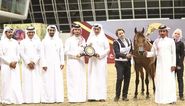 Mohamed Mubarak al-Sulaiti Abdullahu2019s Shaheen Lembarak won the gold in the Stallions Championship in the 21st Qatar National Purebred Arabian Horse Show at the Al Shaqab Indoor Arena on Sunday. PICTURES: Juhaim