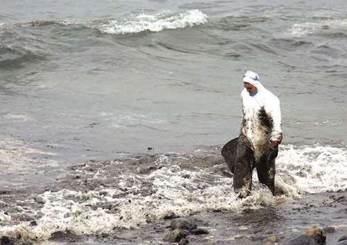 In this file photo taken on December 2, 2002, a volunteer walks along Muxia beach, polluted with oil, following the sinking of the Prestige tanker off the Galician coast.