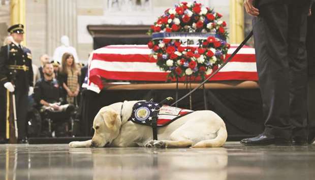 Former US president George H W Bushu2019s service dog Sully sits as Bushu2019s body lies in state in the Rotunda at the US Capitol in Washington.