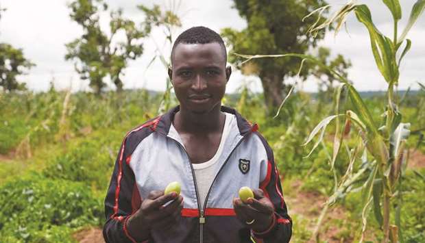 Farmer Mustafa Umar holds shea nuts at the Talba Shea Butter Village in Kodo.