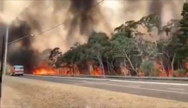Flames engulf a row of trees at the side of a road on Gospers Mountain in New South Wales, Australia