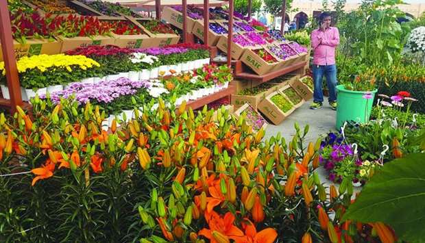 A wide range of locally-grown flowers on offer at Mahaseel Festival. PICTURE: Joey Aguilar