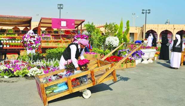 A wide variety of ornamental plants and flowers are available at Mahaseel Festival.