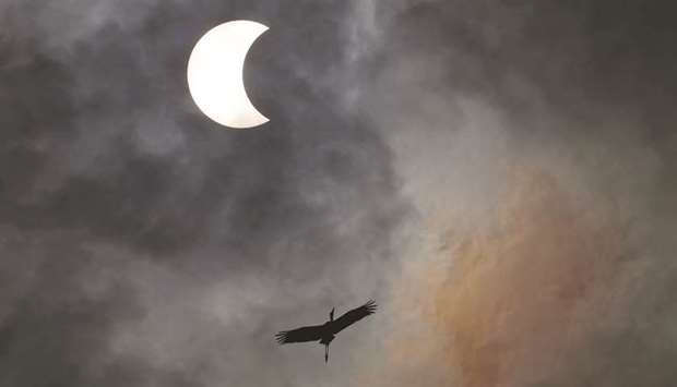 A bird flies during the solar eclipse in Bangkok, Thailand.
