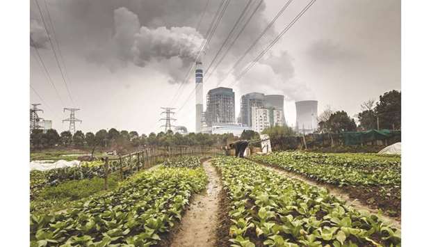 A man tends to vegetables in a field as emissions rise from nearby cooling towers of a coal-fired power station in Tongling, Anhui province, China (file). Carbon-dioxide emissions from burning fossil fuels likely increased by 0.6% this year, down from 2.1% in 2018, according to a report from the Australia-based Global Carbon Project. Declines in the US and Europe were offset by increases in the fast-growing economies of China and India, it said.