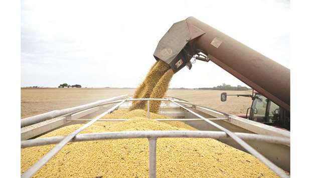 Soybeans are unloaded from a grain wagon during harvest in Wyanet, Illinois. In a positive gesture, China said yesterday that it will waive import tariffs for some  soybeans and meat shipments from the United States, as the two sides try to thrash out a broader agreement to defuse their protracted trade war.
