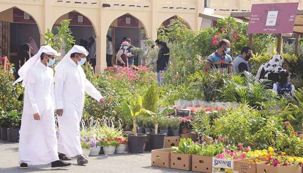 Mahaseel Festival get underway at Katararn