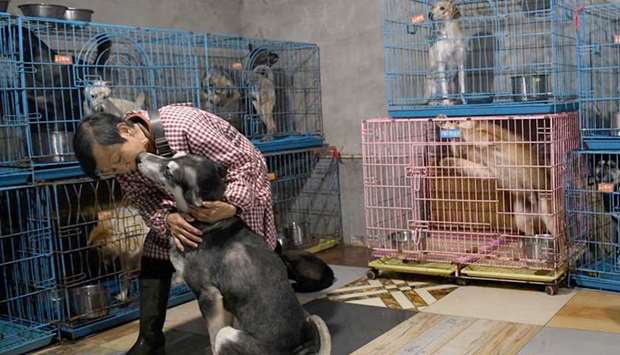 Wen Junhong petting a rescued dog inside a room with other canines at her home shared with rescued animals in Chongqing, southwestern China, on November 29.