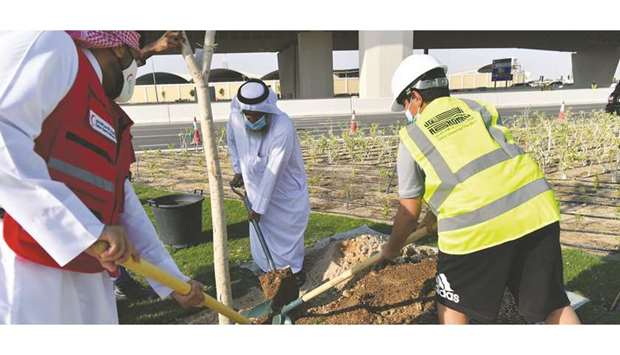 Ashghal and QRCS officials plant trees during the event.