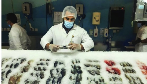 These resulted in issuance 56 violation reports according to law no 8 for 1990 on the regulation of human food control.