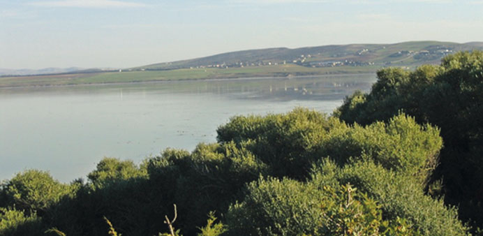 A view of the Ichkeul National Park, Tunisia.