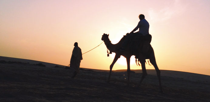 Some of the entries for the SeeMyDoha photography competition.