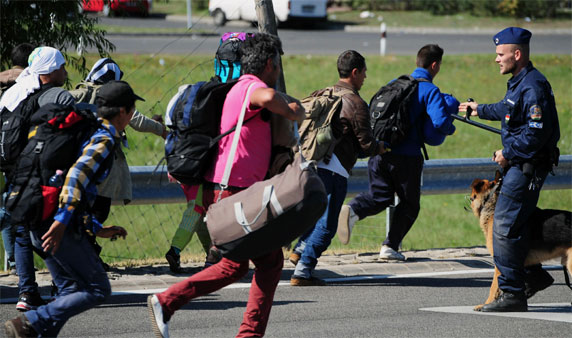 Migrants run across a road after they broke out of at collection point near Roszke village at the Hungarian-Serbian border