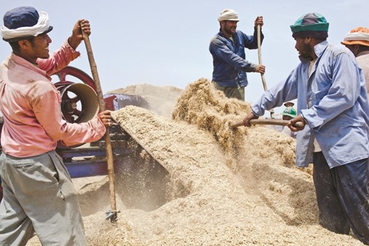 Workers sift wheat in a field in Monofeya, Egypt. The launch of the bourse would protect small farmers from volatile price swings and help to connect their output to supply chains, Supplies Minister Khaled Hanafi said yesterday.