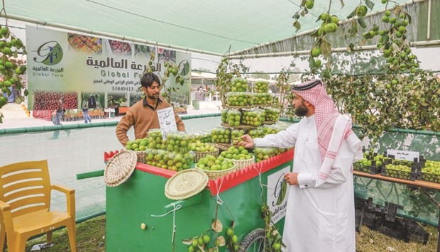 Ten farms are taking part in the festival to promote the fruit of the Sidra tree.