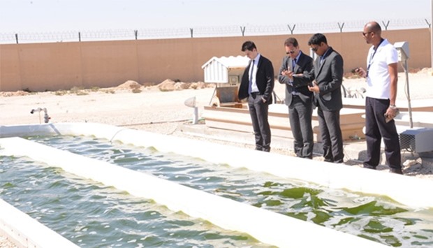French ambassador Eric Chevallier visits the algae testing facility in Al Khor.
