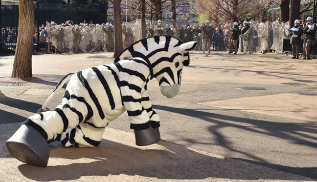 A man dressed as a zebra is surrounded by zookeepers during a drill to practice what to do in the event of an animal escape at Tokyou2019s Ueno Zoo.