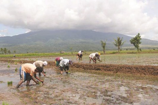 The Department of Agriculture in Bicol has cited the local farmers for easily adapting to extreme climate changes.