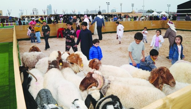 Children petting sheep at the Halal Qatar Festival which opened at Katara. The festival runs until March 4.