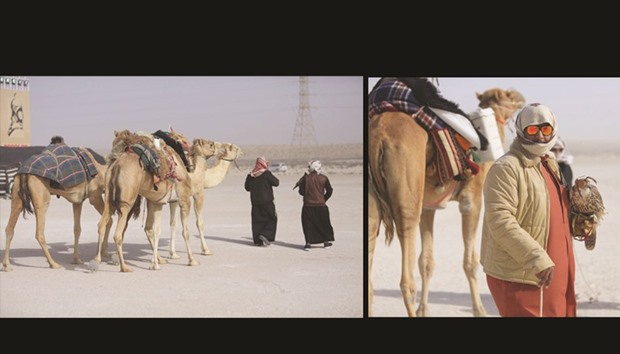 Contestants arriving for Al Galayal traditional hunting championship.   RIGHT: A contestant is seen with his falcon.