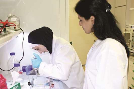 QBRI will offer intensive training opportunities to undergraduate students in the fields of diabetes, cancer and neurological disorders.