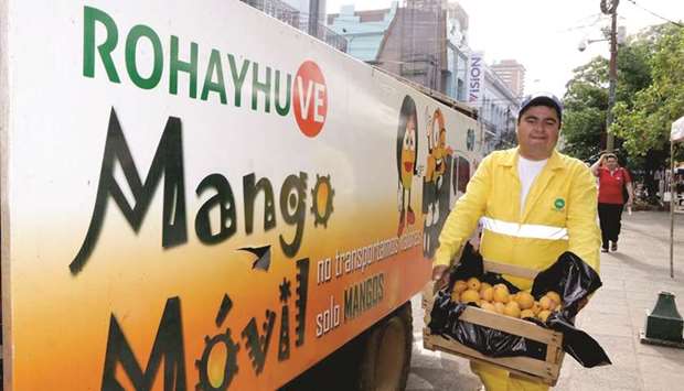 A municipal worker collects mangoes from the streets of Asuncion, the capital of Paraguay, as part of the Mango Movil initiative.