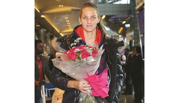 Karolina Pliskova arrived in Doha yesterday after completing her countryu2019s Fed Cup engagements against Romania on Sunday night.