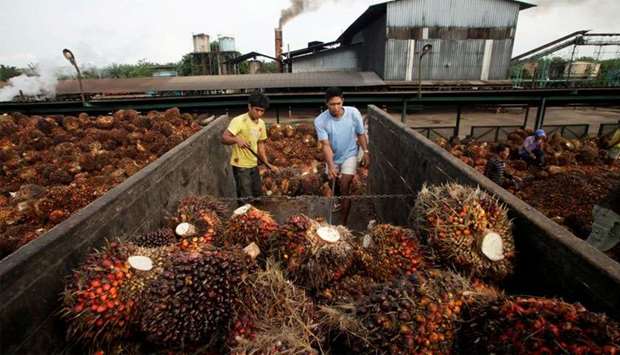 Workers unload oil palm fruits in a state-owned crude palm oil processing unit in North Sumatra