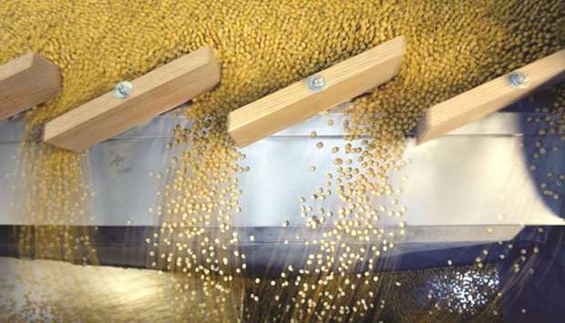 FILE PHOTO: Soybeans being sorted according to their weight and density on a gravity sorter machine at facility in Fargo, North Dakota, US, December 6, 2017.