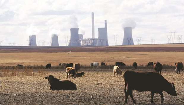 Cows graze as steam rises from the cooling towers of Matla Power Station, a coal-fired power plant operated by Eskom in Mpumalanga province, South Africa. The country plans to bail out the utility and split it into three entities in the hope of reviving its fortunes.